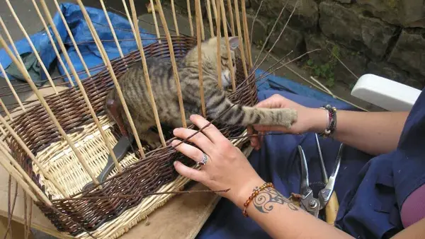 L'Ane Rêveur - Vannerie