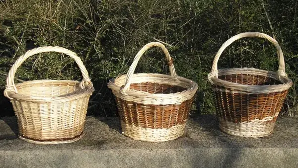 L'Ane Rêveur -Stage de Vannerie