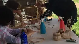 L'Ane Rêveur - Vannerie