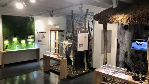 Roquemissou - Plongée dans la Préhistoire du Causse (2020-2023)