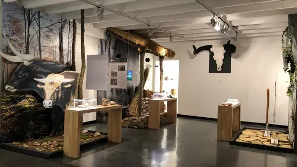 Roquemissou - Plongée dans la Préhistoire du Causse (2020-2023)