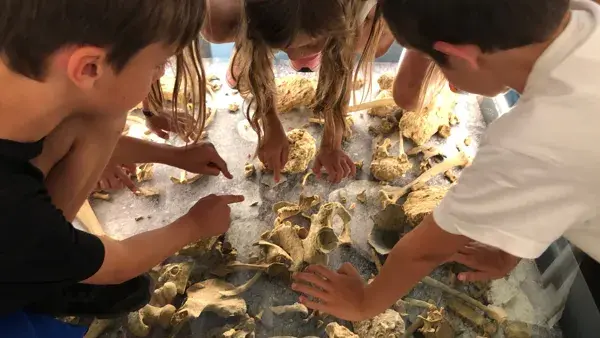 Roquemissou - Plongée dans la Préhistoire du Causse (2020-2023)