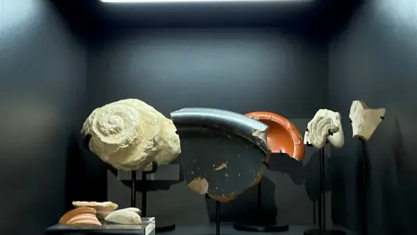 Exposition Aux sources de l’Aveyron et de la Serre. 5 000 ans de peuplement