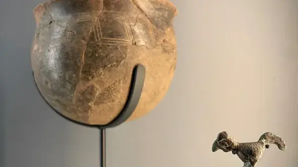 Exposition Aux sources de l’Aveyron et de la Serre. 5 000 ans de peuplement