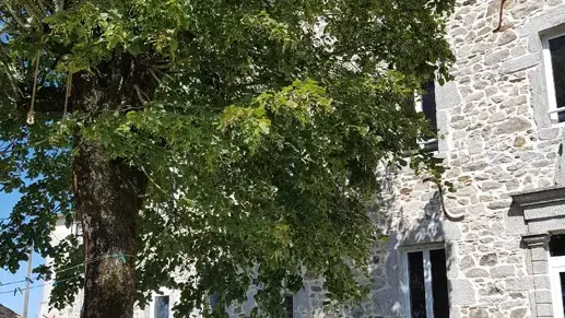 Gite La Belle Ecole (L'escola polida)