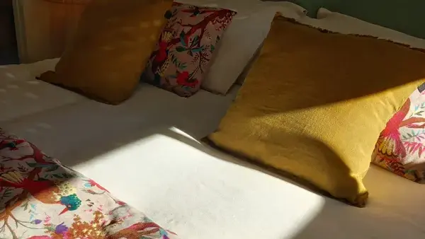 Chambre Birdy, Causse