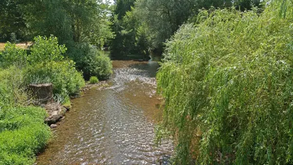 LE CHATAIGNER MOULIN DE CANTARANNE