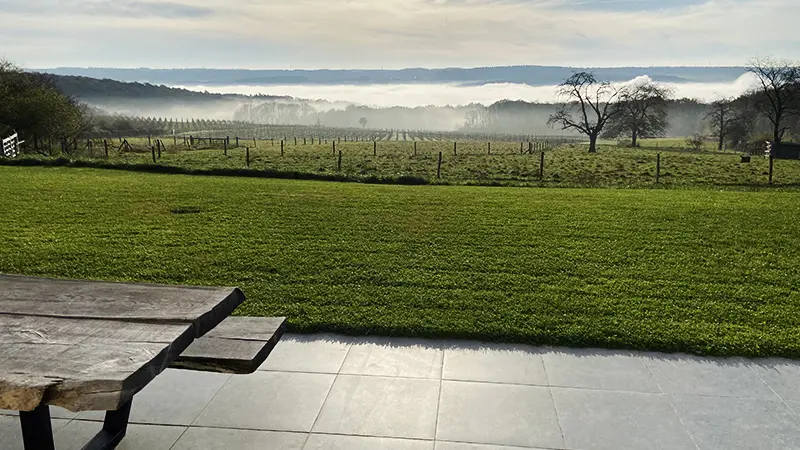 extérieur terrasse + vignes
