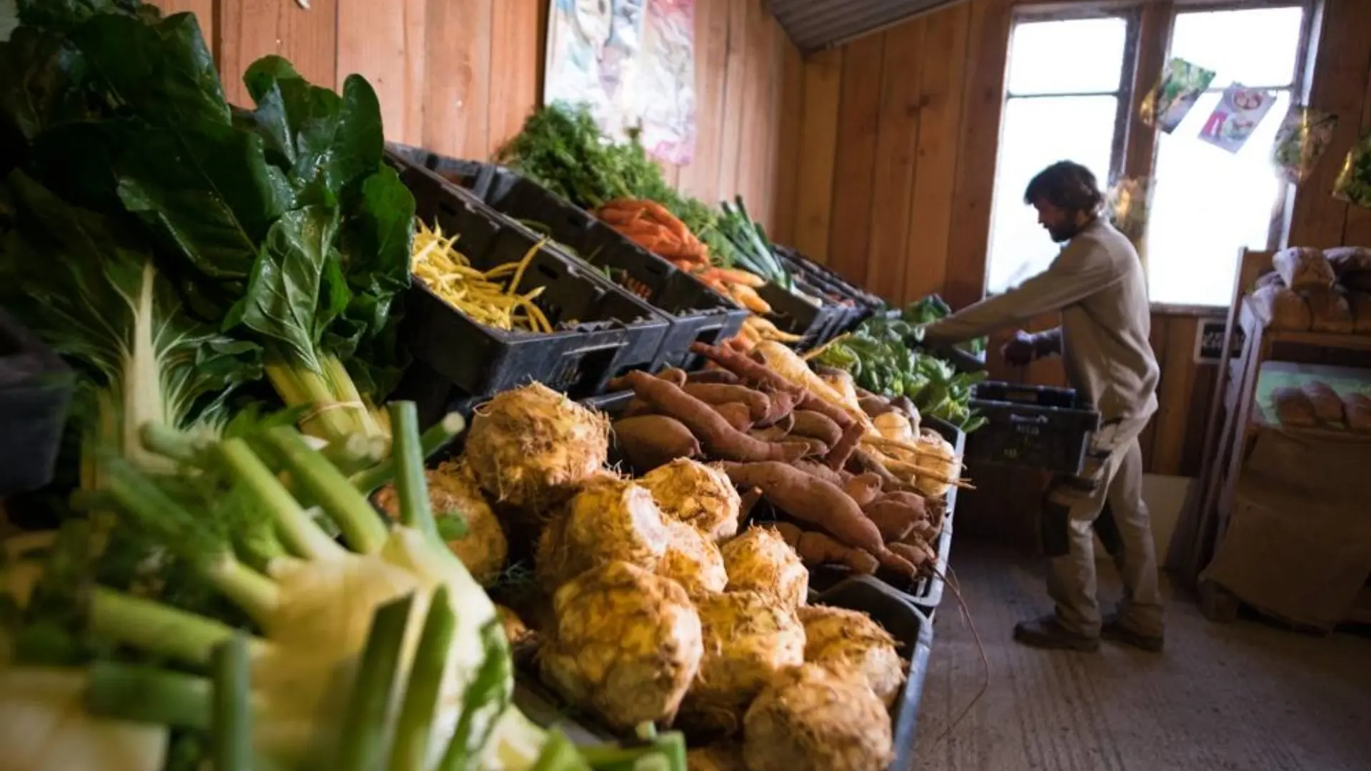 Marché à la ferme Malansac