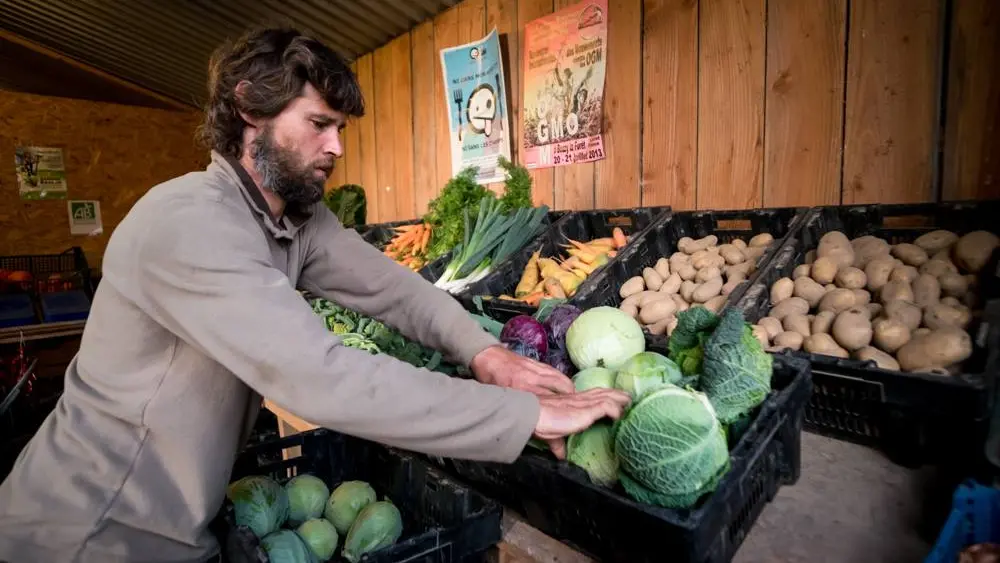 Marché à la ferme Malansac