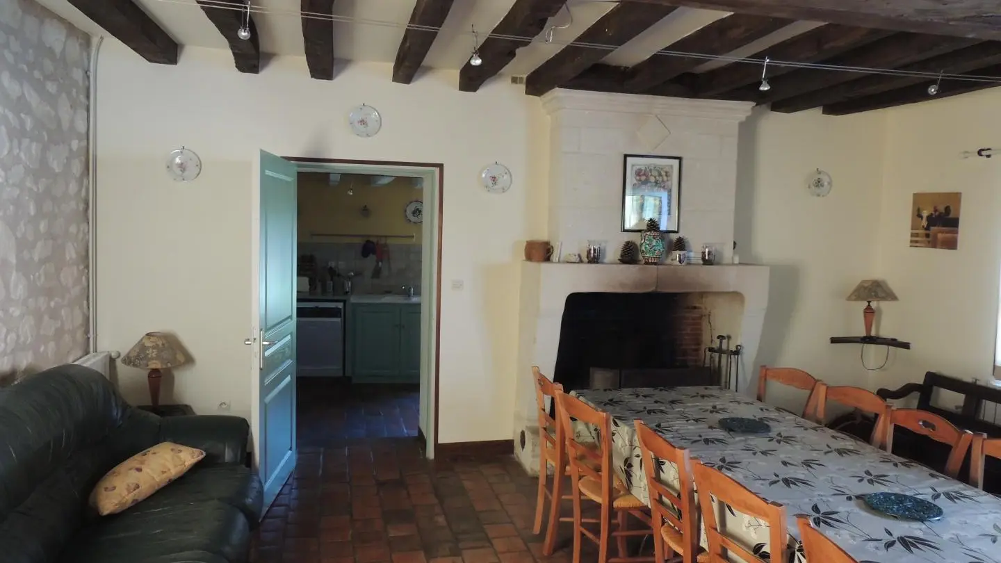 Séjour avec cheminée - Gîte 1 - la Petite Lionnière.jpg