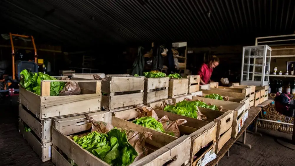 Marché à la ferme Malansac