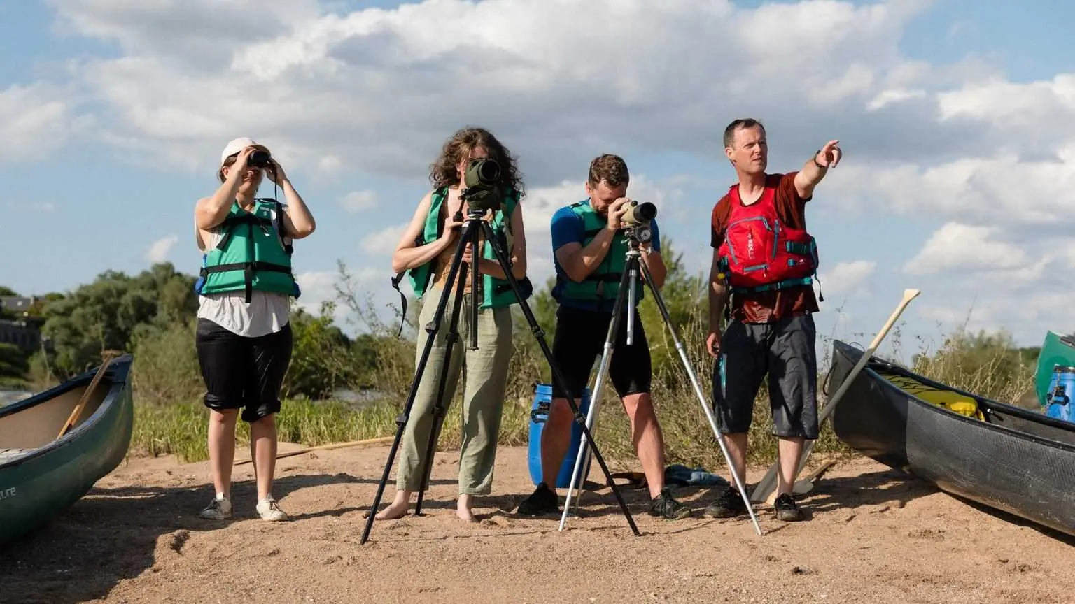 Observation des oiseaux de Loire