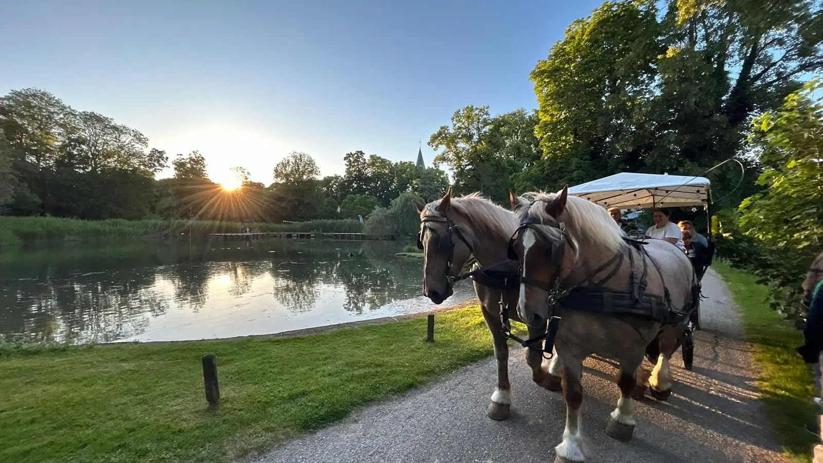 Balade au bord de l'étang
