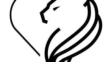 Offre non partenaire