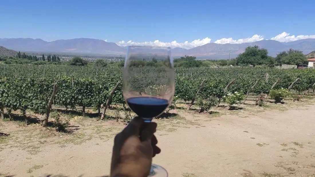 Vignoble argentin