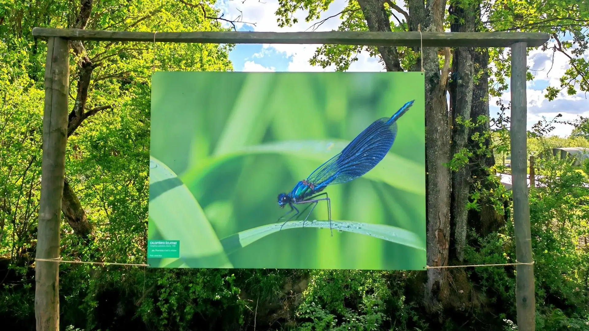 Expo Biodiversité