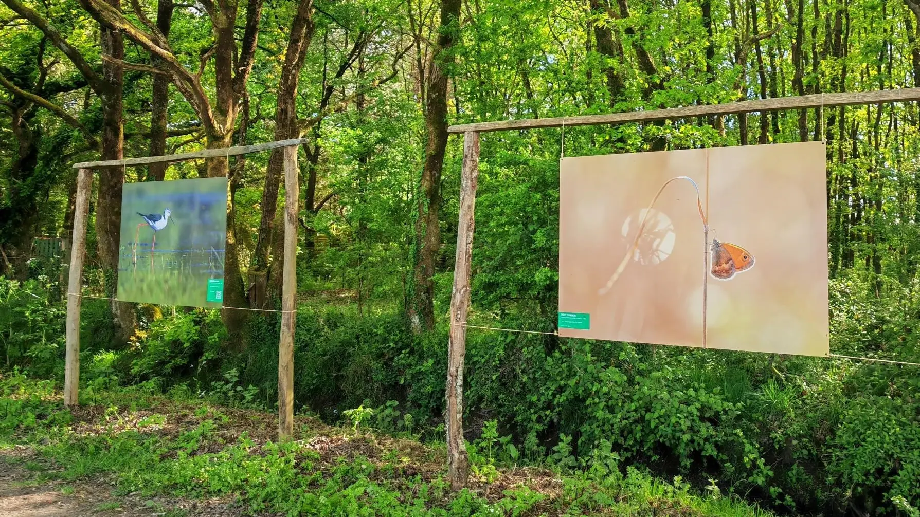 Expo Biodiversité