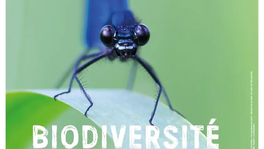 Affiche expo Biodiversité