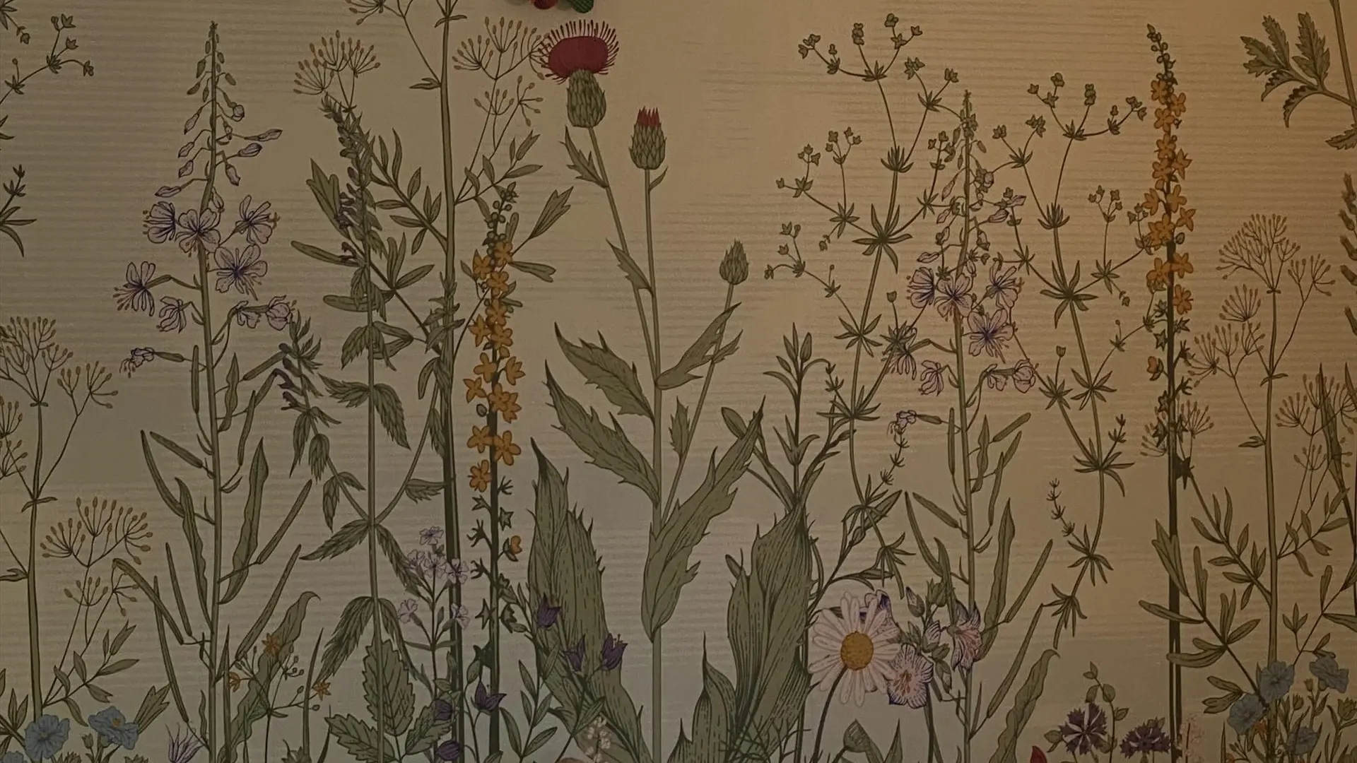 Le Jardin