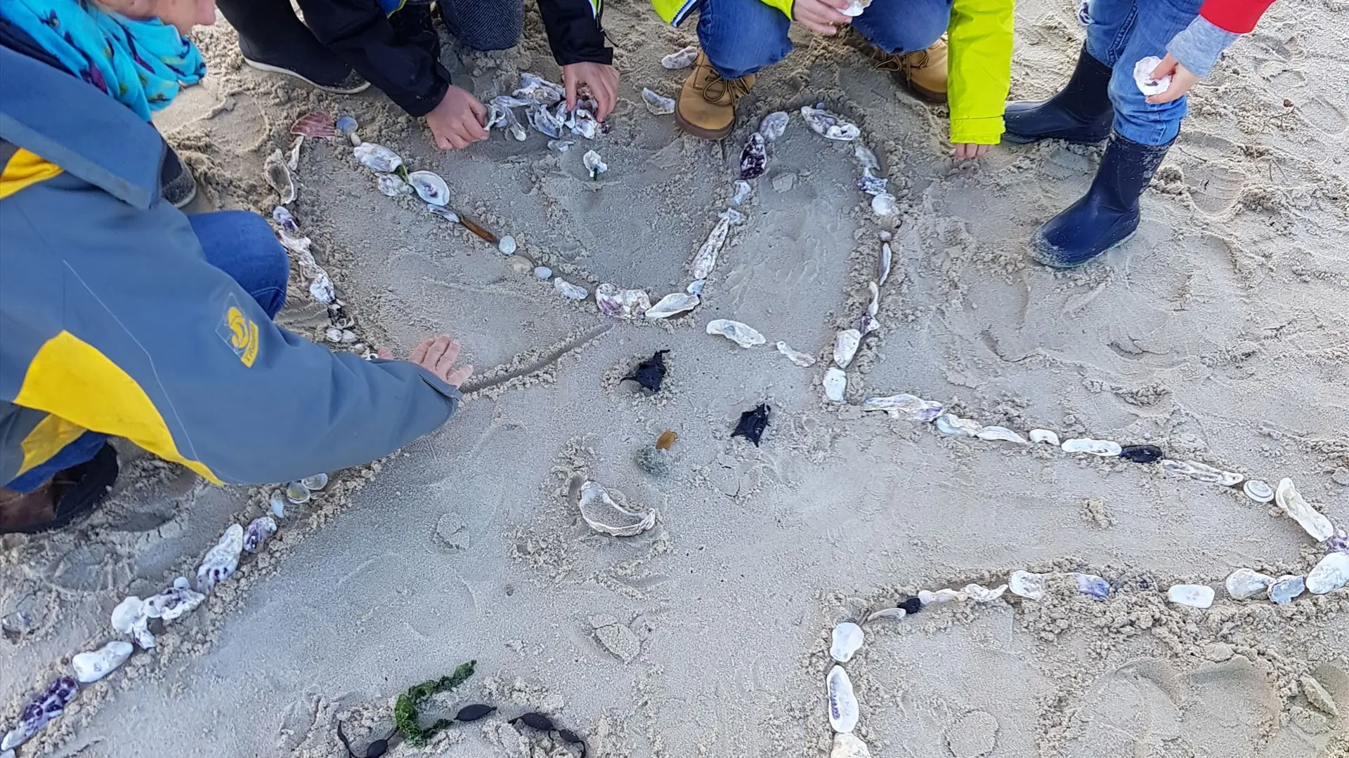 Chasse aux trésors sur la plage