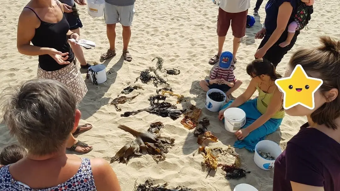 Chasse aux trésors sur la plage