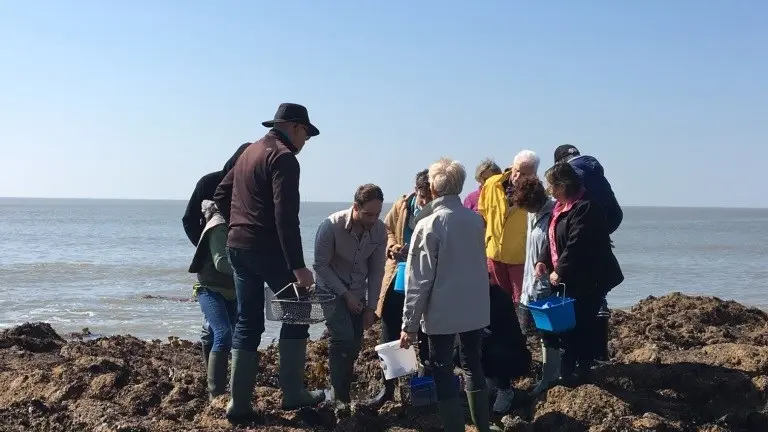 Sortie Dans les pas du cueilleur d'algues
