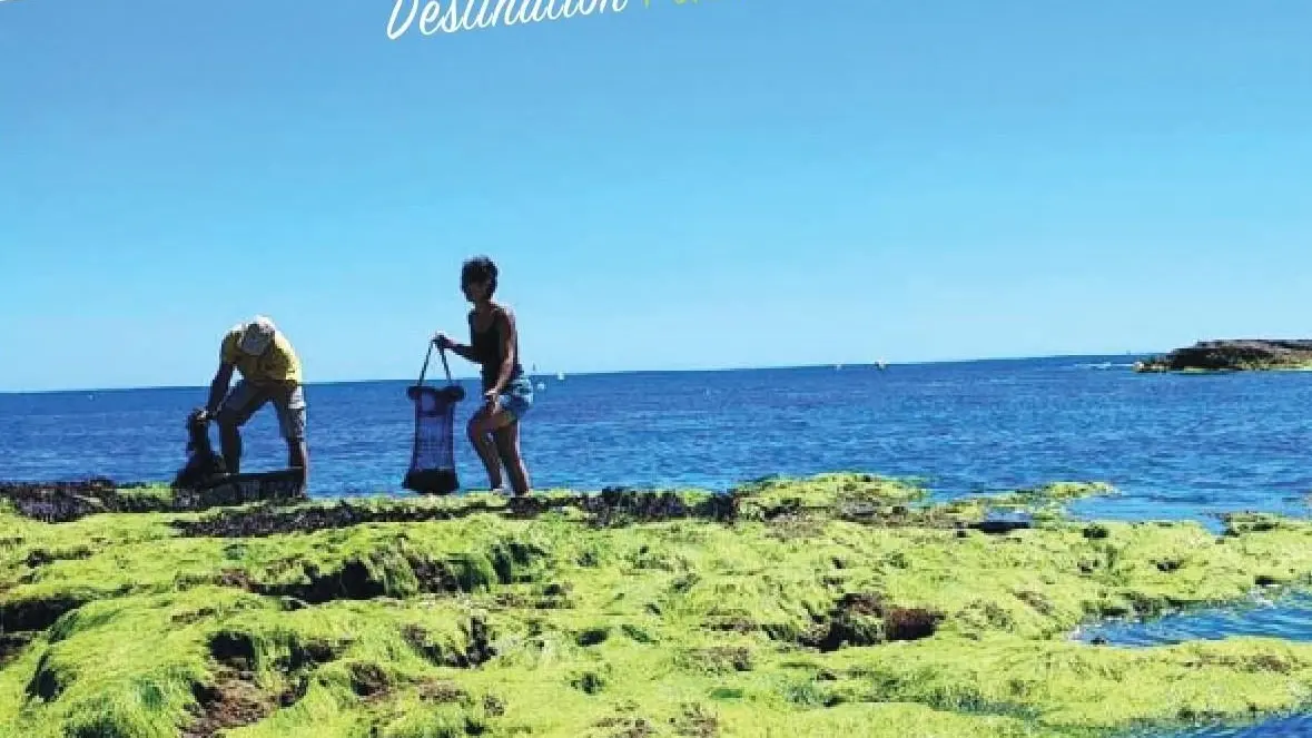 Brochure sorties nature