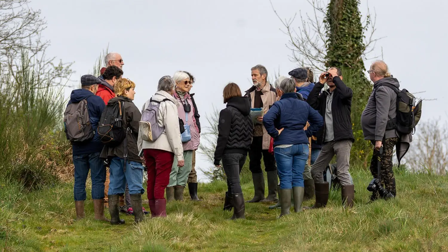 Animation oiseaux des marais