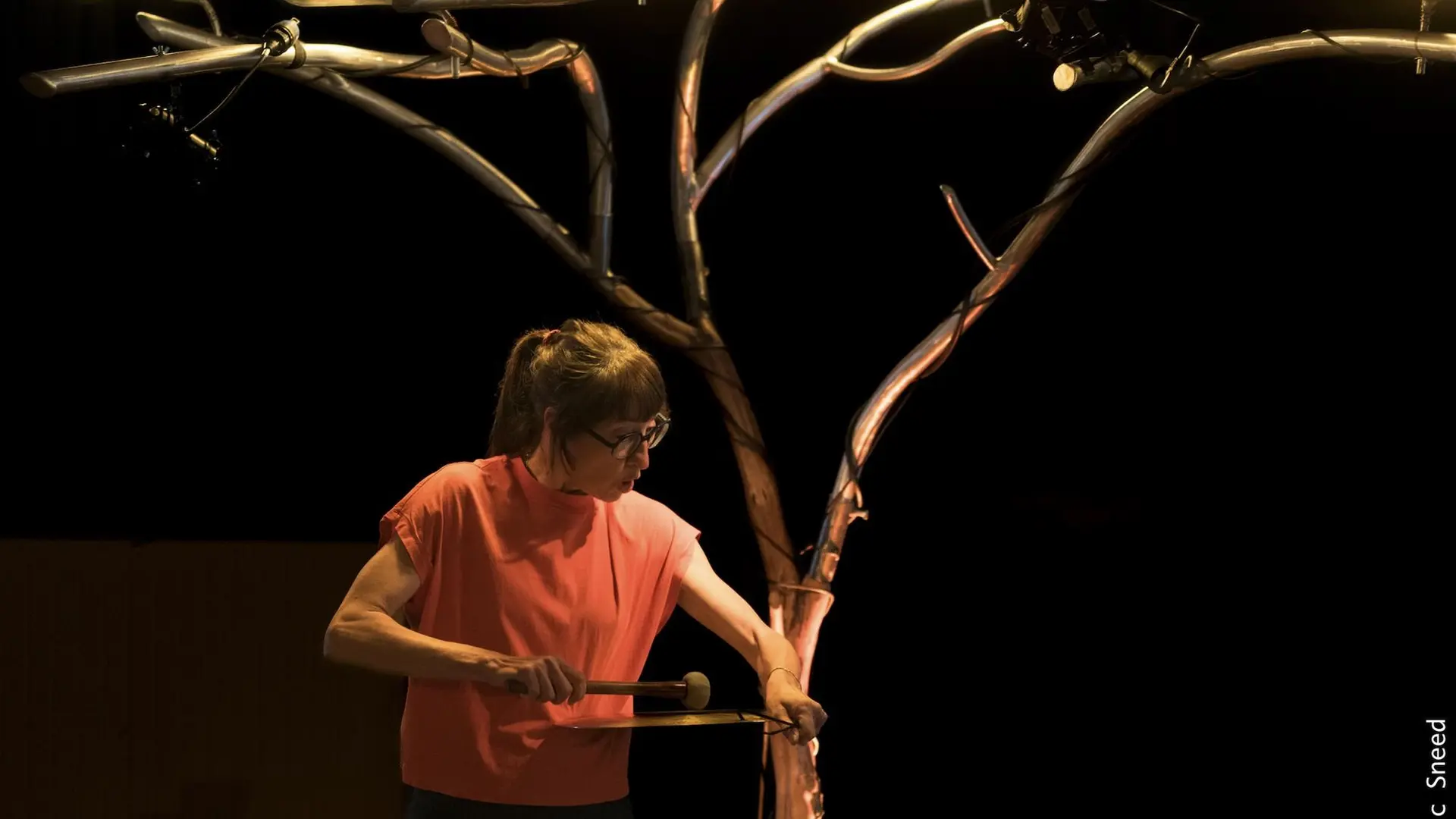 Les Oreilles en cœur