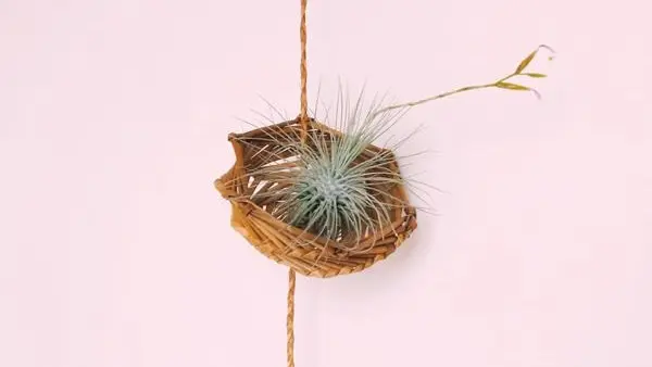 corbeilles suspendues