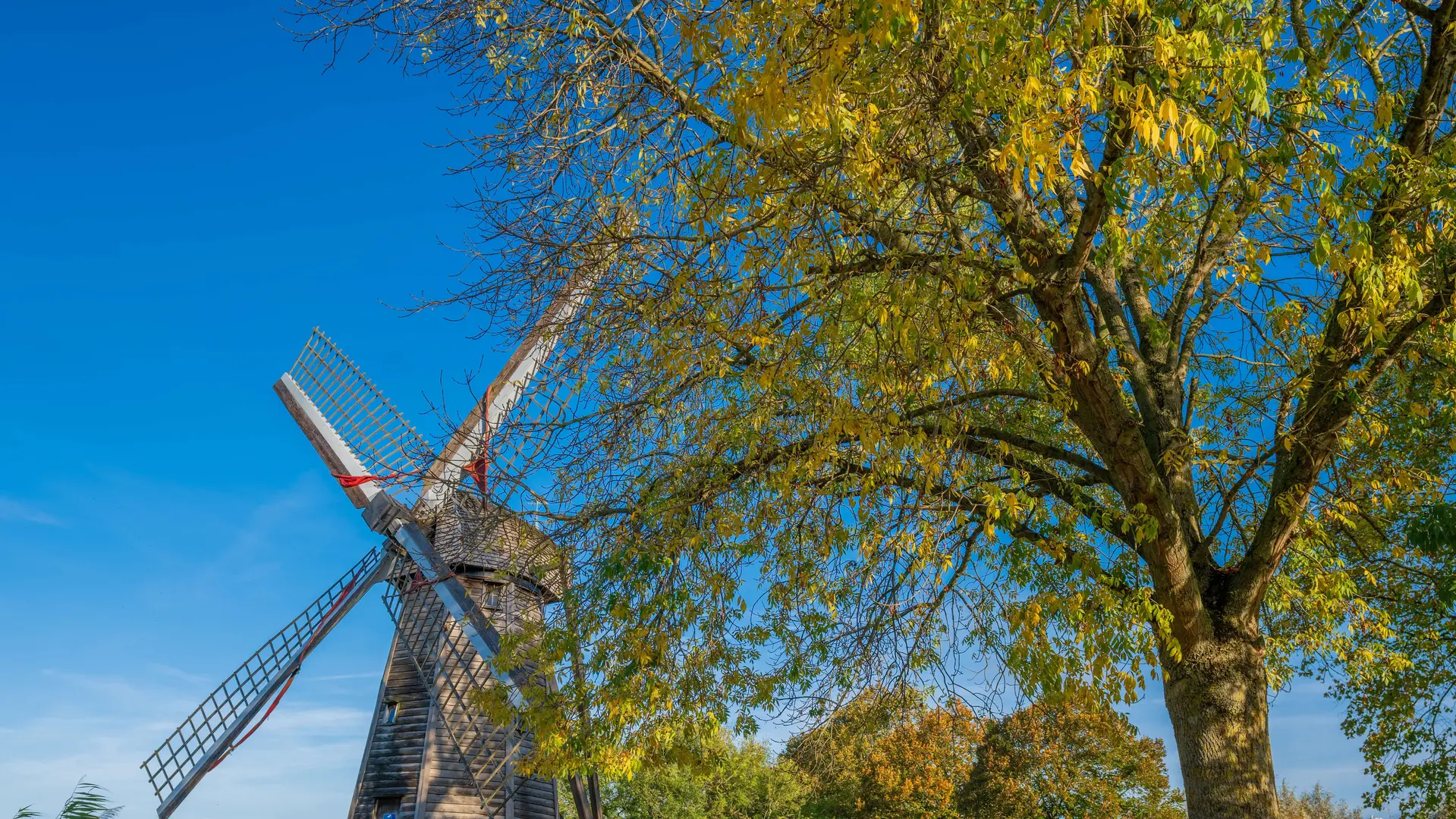 Moulin - Parc Maison du Marais - 2022