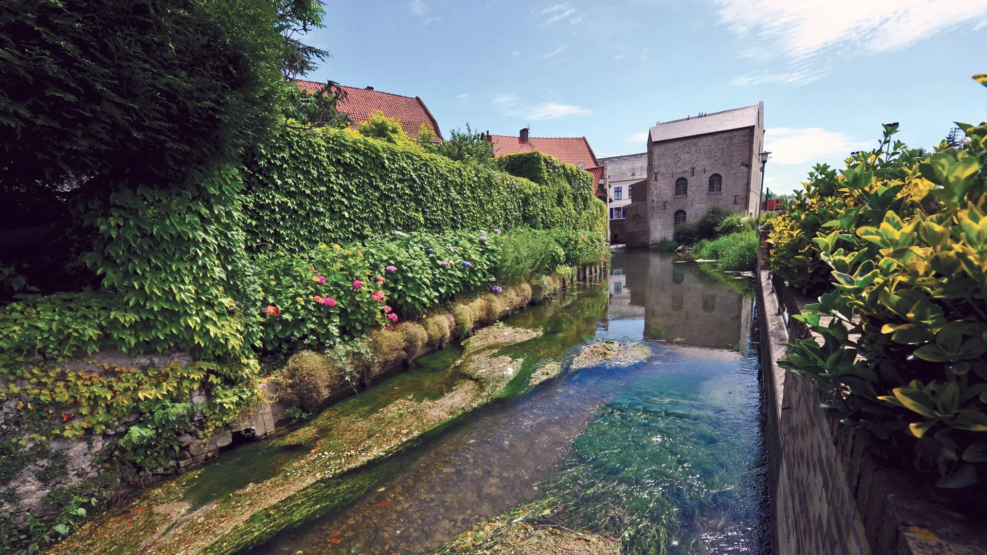 Moulin Manessier 2010 FAUQUEMBERGUES