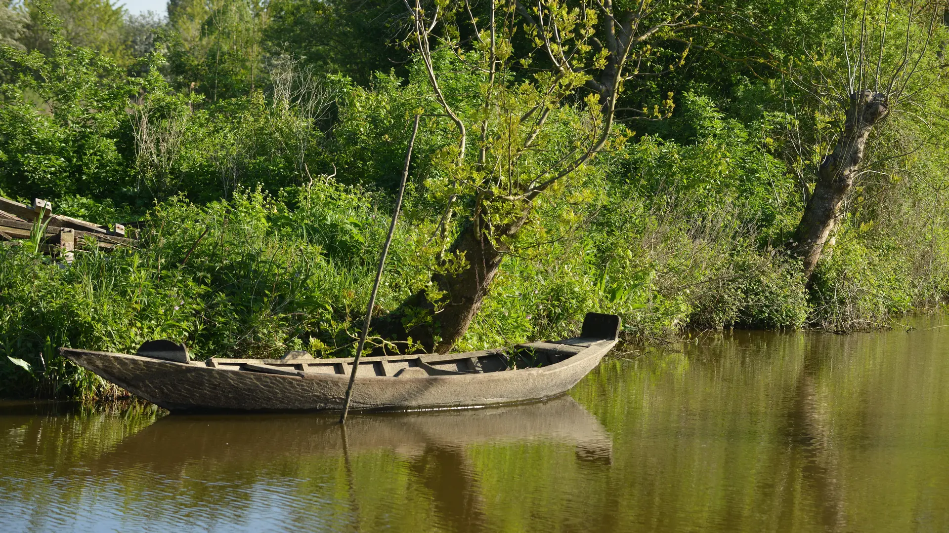 Bacôve Marais © Photo Carl - Office de Tourisme de la Région de Saint-Omer