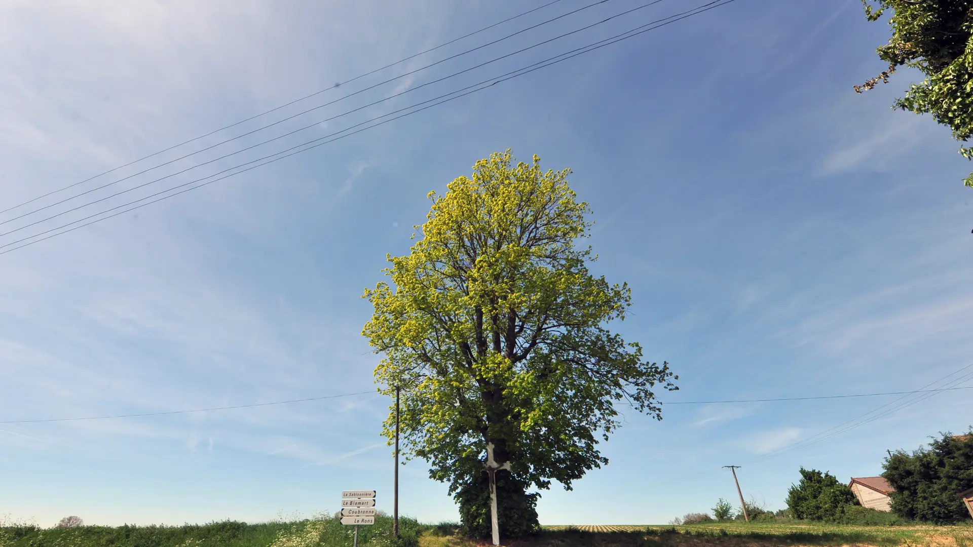 Calvaire 2010 QUIESTEDE © Photo Carl - Office de Tourisme de la Région de Saint-Omer