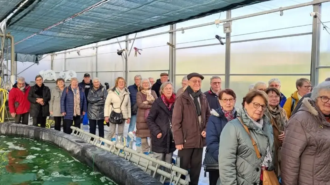 Capture d’écran_25-1-2026_154753_www.instagram.com