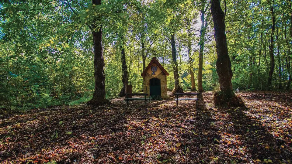 Chapelle des Trois Cayelles 2014 EPERLECQUES