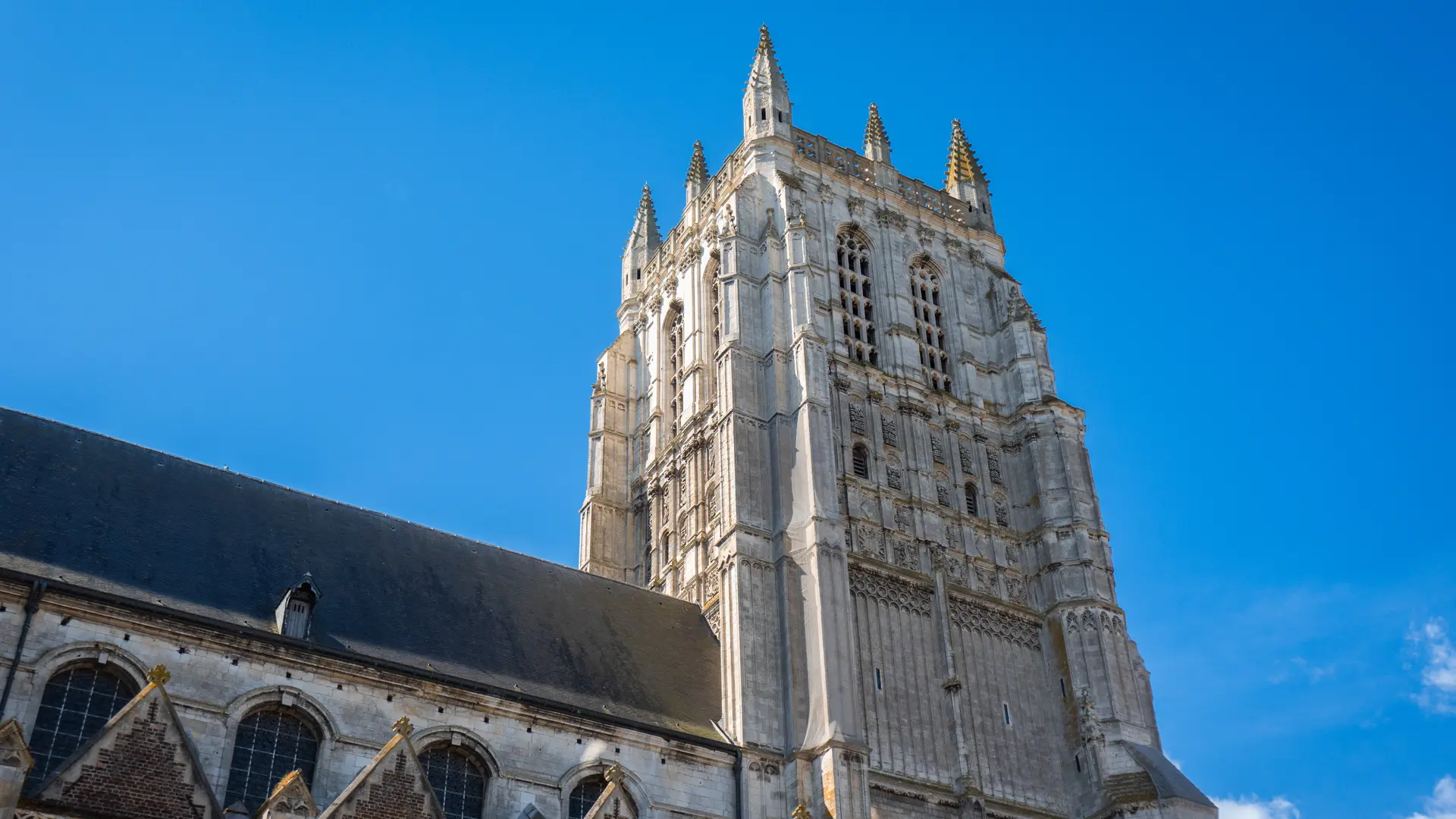 Collégiale Saint-Pierre d'Aire-sur-la-Lys 2023