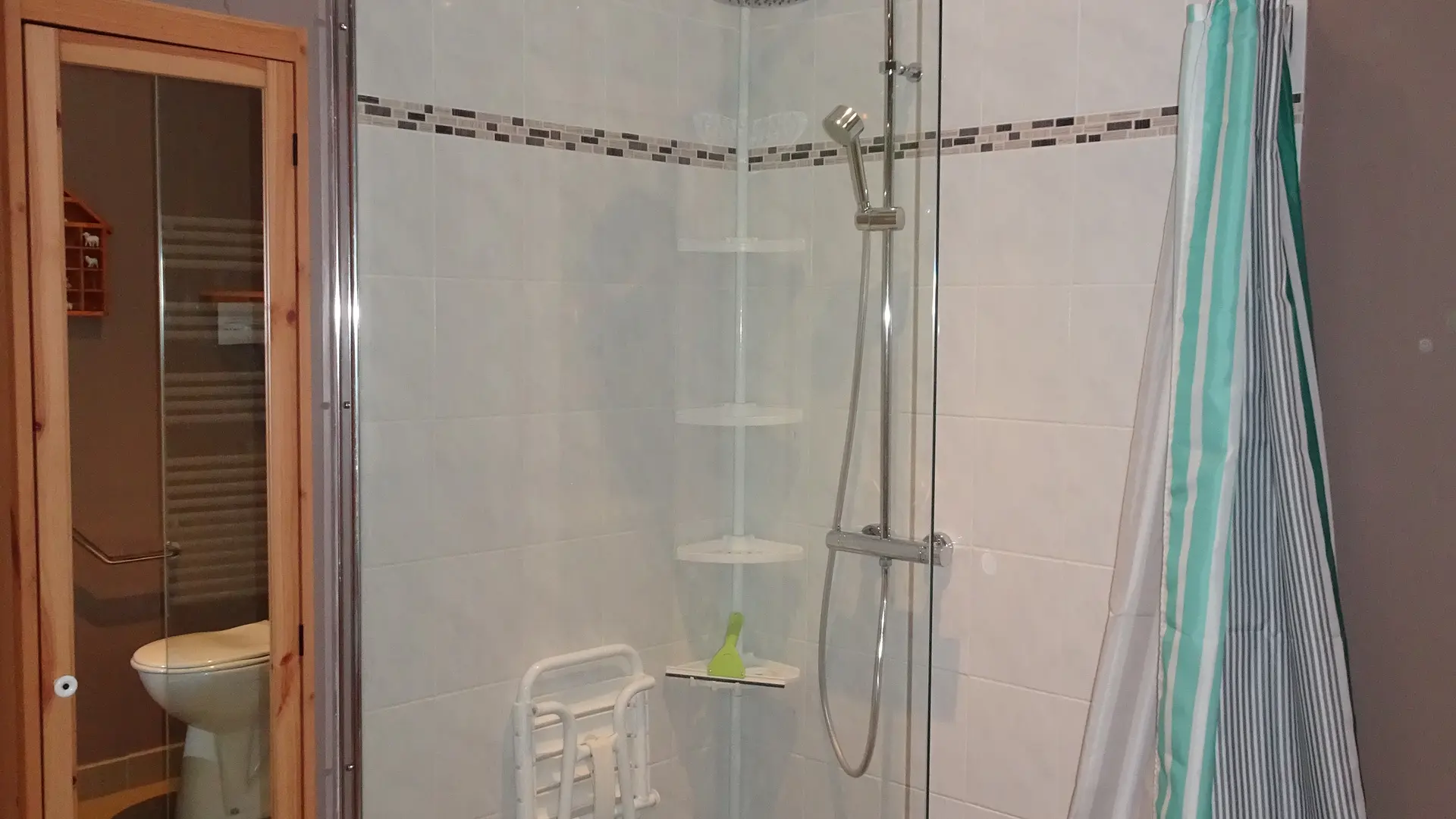 salle de bain RDC