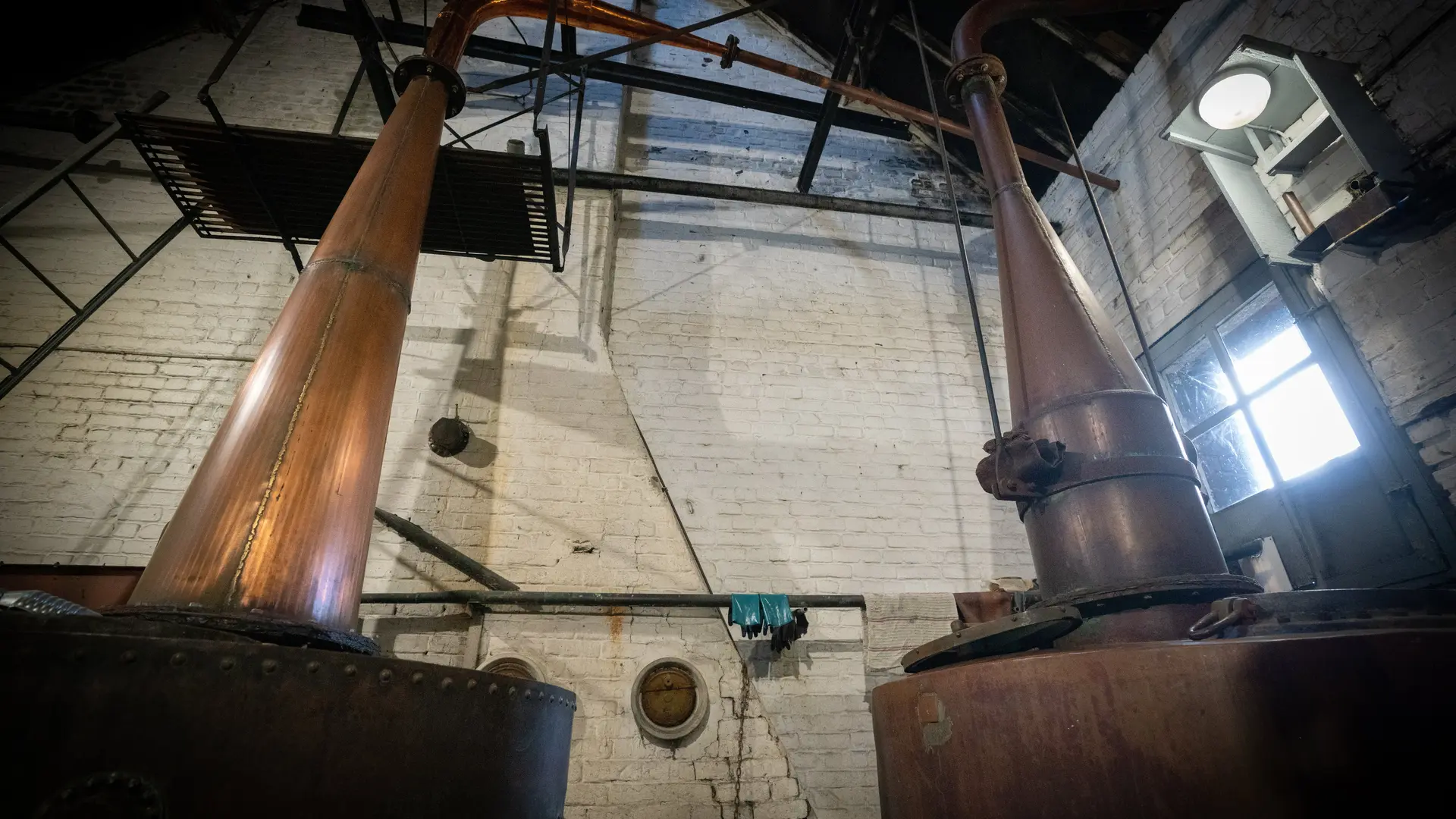 Distillerie Houlle 2023