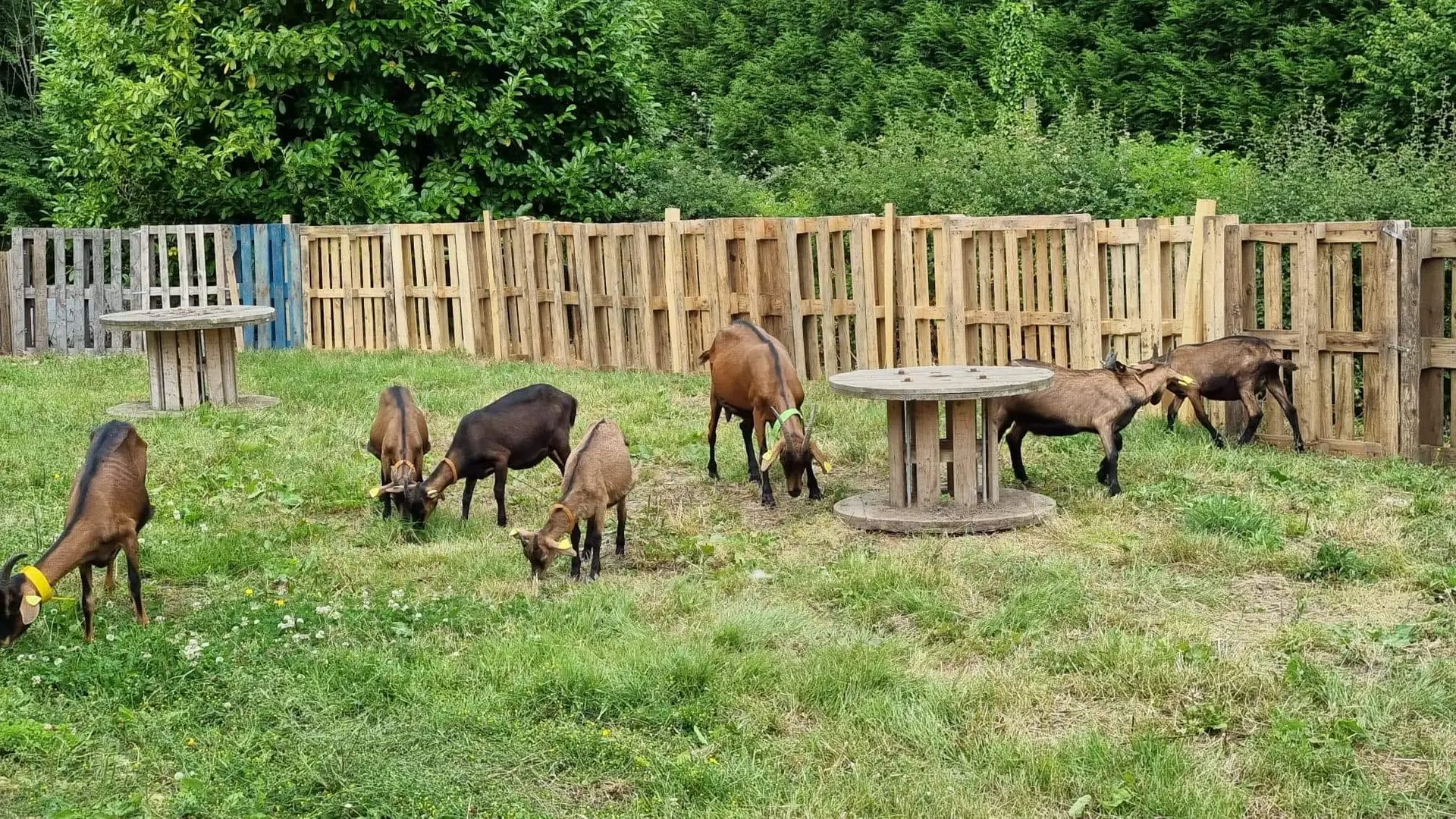 Ferme La Chev'riotte à RECLINGHEM