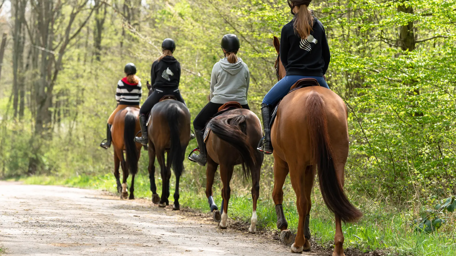 Forêt de Clairmarais Cavaliers Equestre 2018 CLAIMARAIS © Jessy Hochart Tourisme en Pays de Saint-Omer (2)