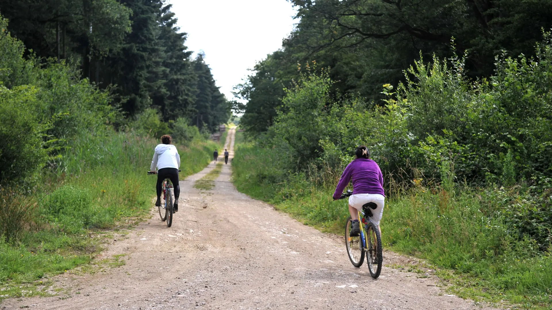 Forêt de Rihoult Vélo 2010 CLAIRMARAIS © Photo Carl - Office de Tourisme de la Région de Saint-Omer  (1)