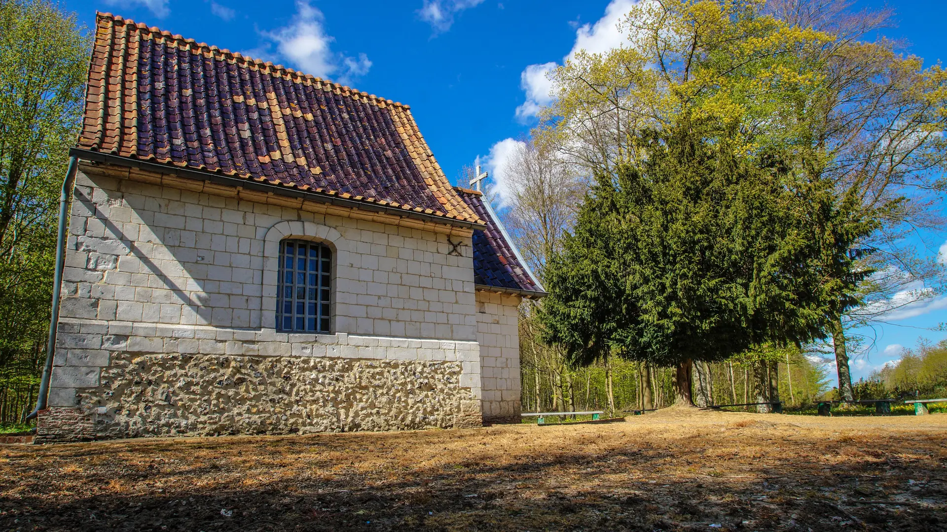 Forêt de TOURNEHEM-SUR-LA-HEM