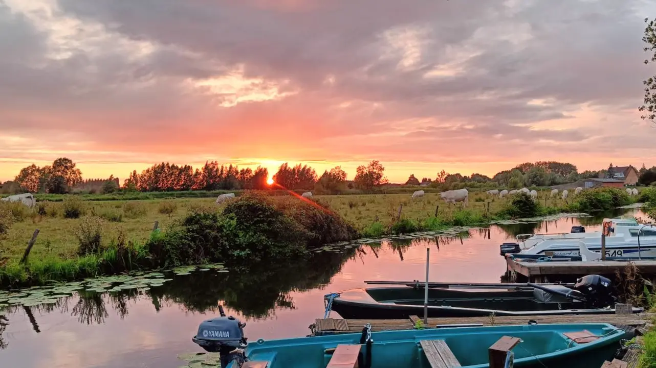 En face du chalet : le marais
