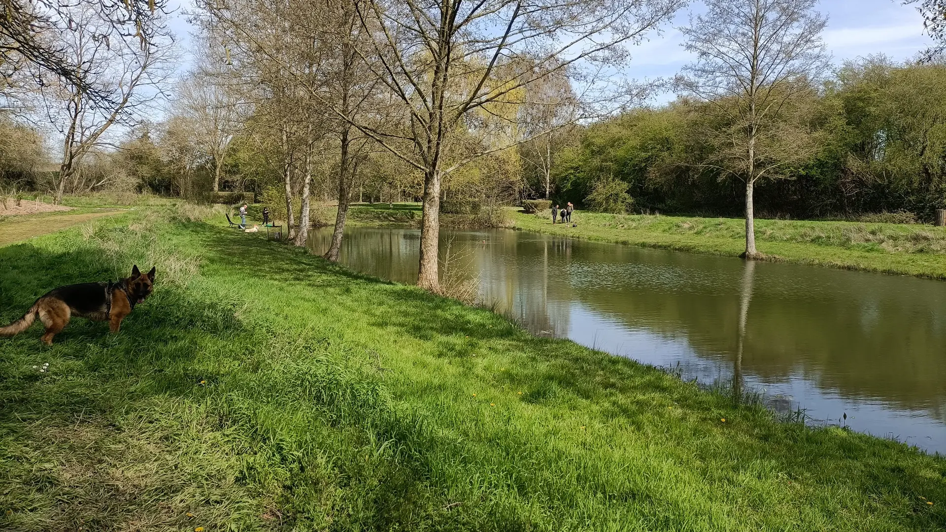 Petite promenade sur les bords des étangs Arc-en-Ciel