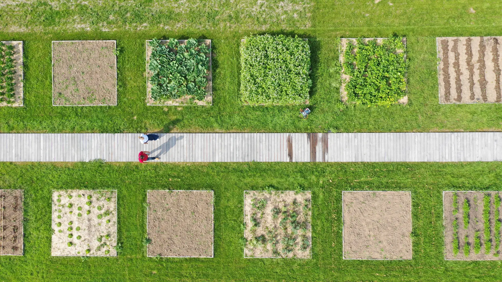 Jardin du Potager Conservatoire Couple