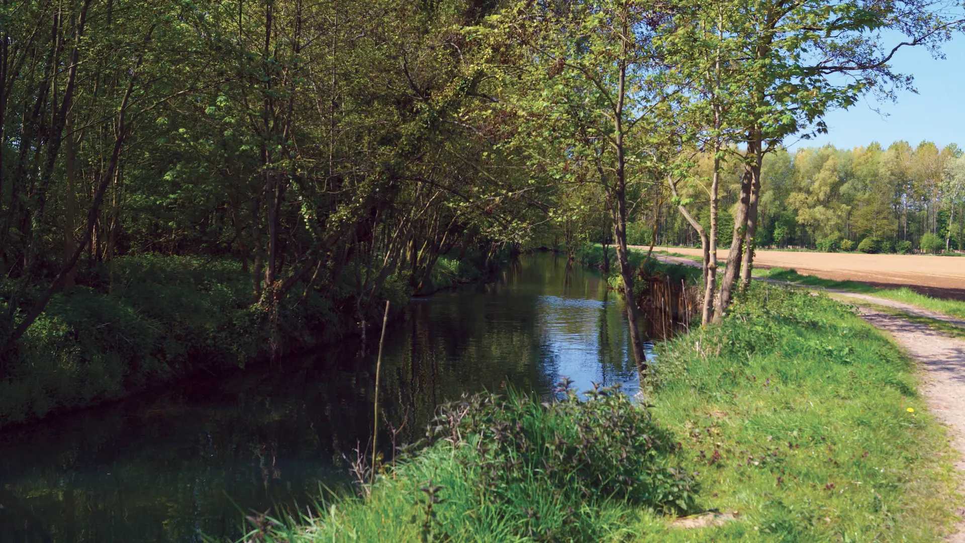 La Petite Lys AIRE-SUR-LA-LYS © Tourisme en Pays de Saint-Omer (1)