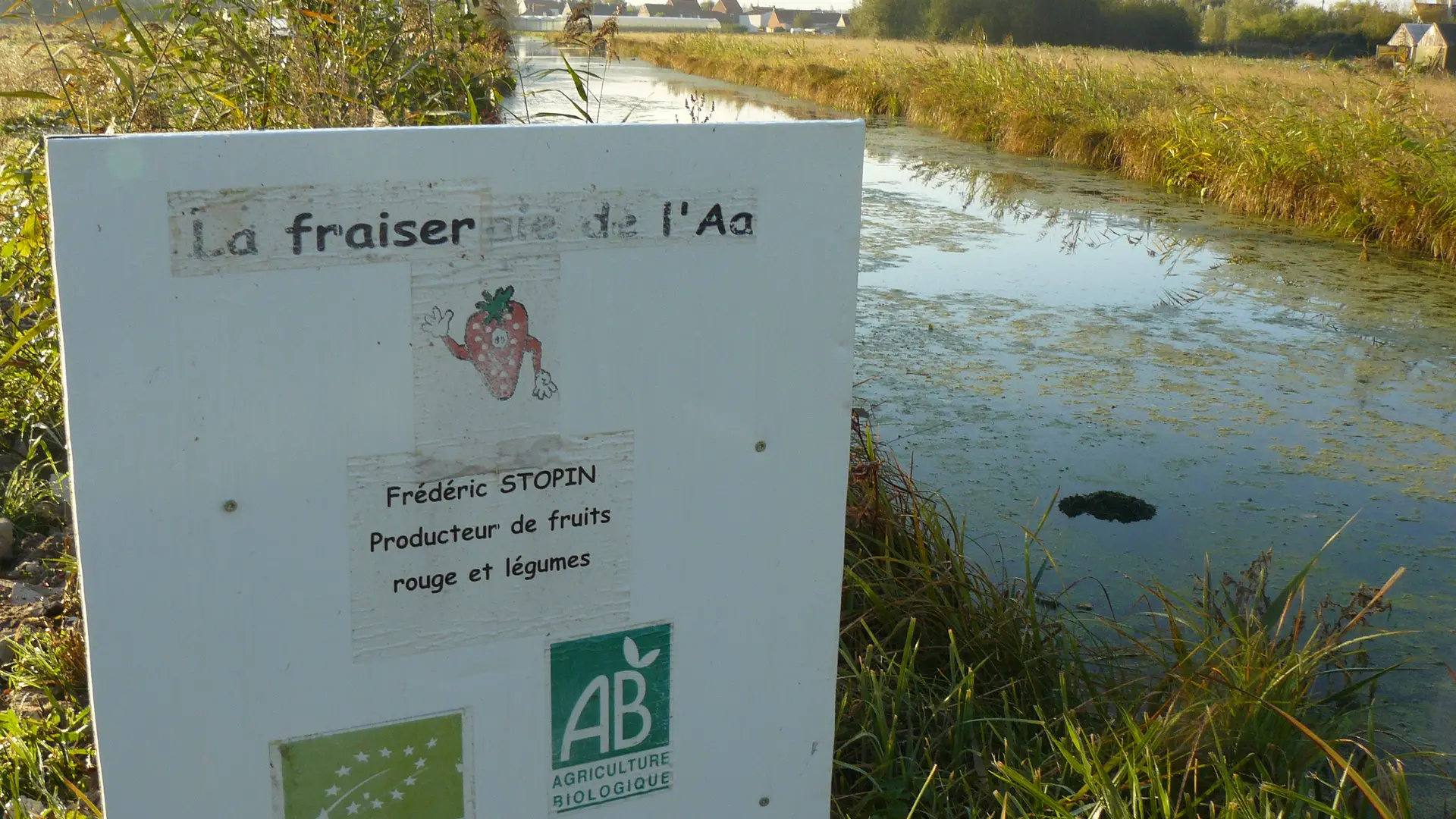 La Fraiseraie de l'Aa à CLAIRMARAIS