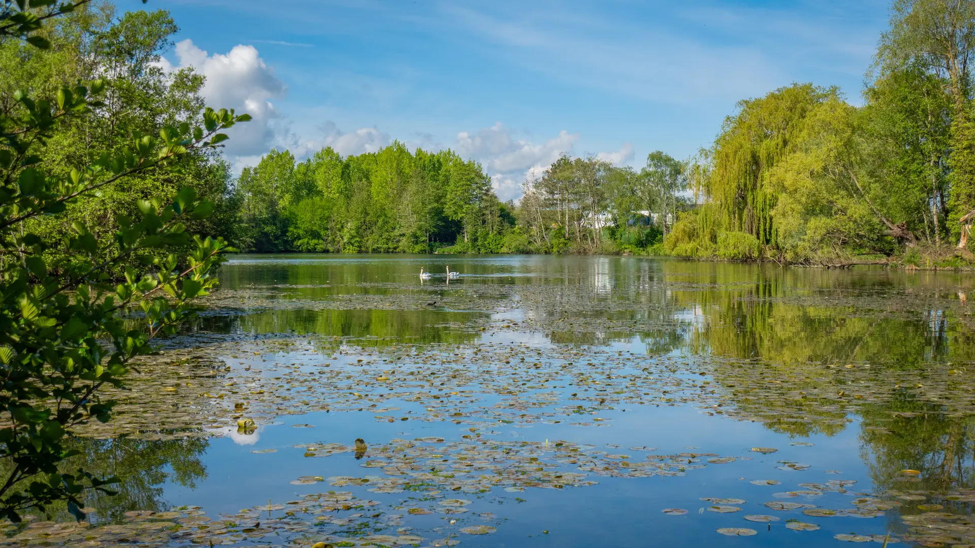 Étang de la Ballastières